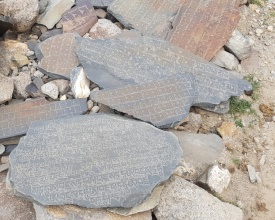 20180813_100252.jpg