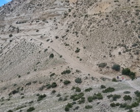 20190813_124356.jpg