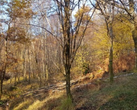 20191108_085148.jpg