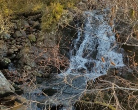 20191108_133433.jpg