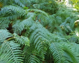 20220813_120024.jpg